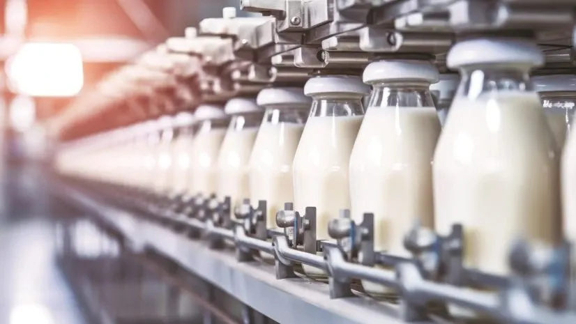 Dairy Solutions