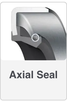 Axial Seal