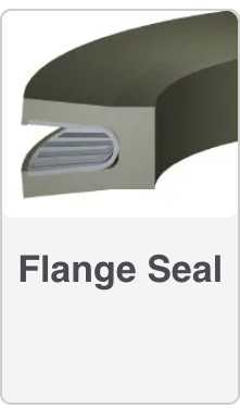 Flange Seal
