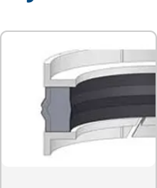 Piston Seal