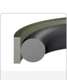 Rod Seal
