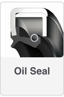 Oil Seal