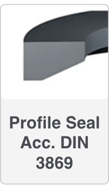 Profile Seal DIN 3869