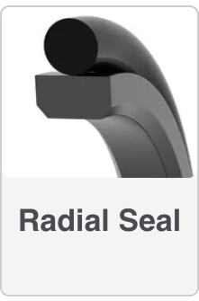 Radial Seal