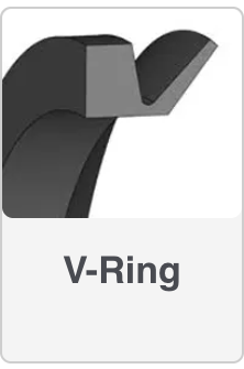V-Ring